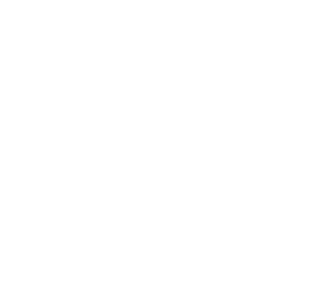Il logo del Dojo Team Molon che raffigura un attleta Muay thai in ginocchio intento a pregare circondato da due tigri. Le figure e le scritte sono bianche su fondo trasparente